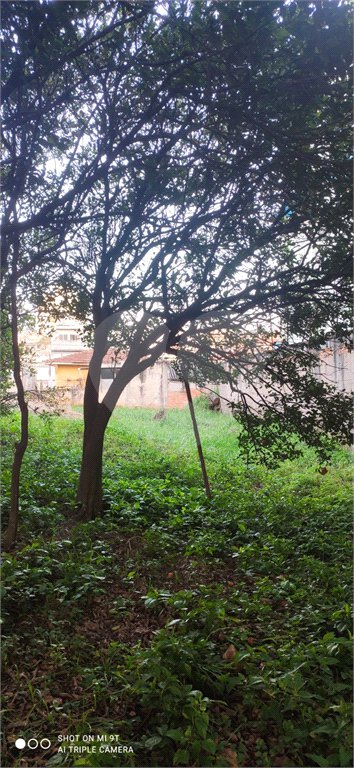 Terreno à venda com 3 quartos, sendo 1 suíte, em Imirim, São Paulo, SP