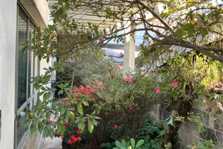 Casa à venda com 5 quartos, sendo 2 suítes,  em Vila Maria Alta, São Paulo, SP