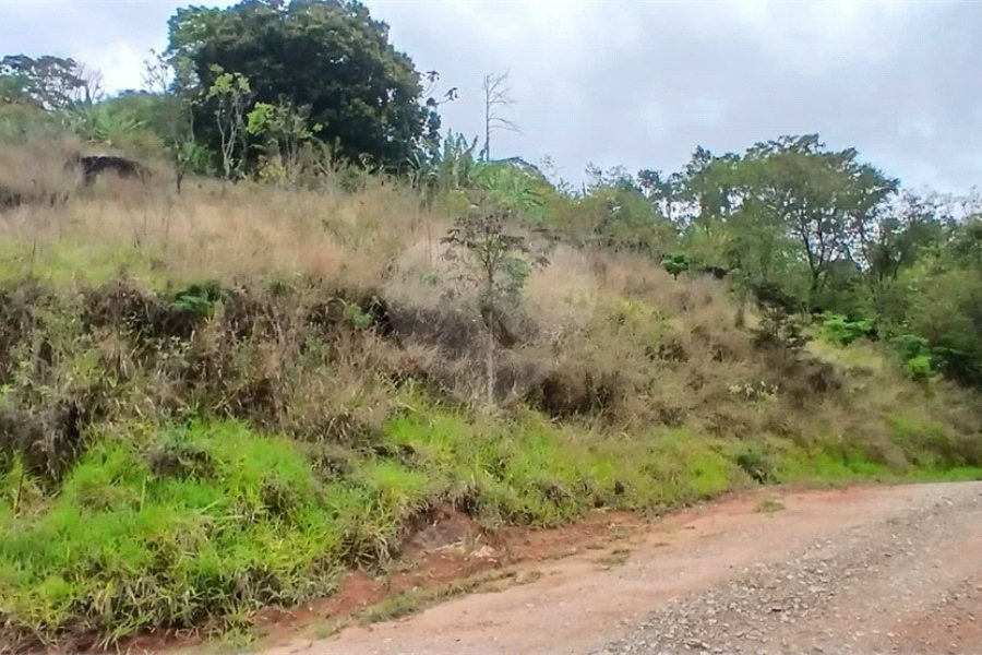 Terreno à venda em Luiz Fagundes, Mairiporã, SP