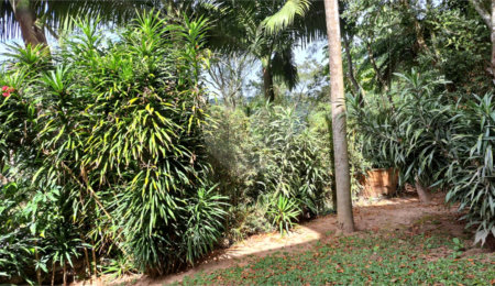 Casa à venda com 3 quartos, sendo 1 suíte, no condomínio Alpes da Cantareira, Mairiporã - SP