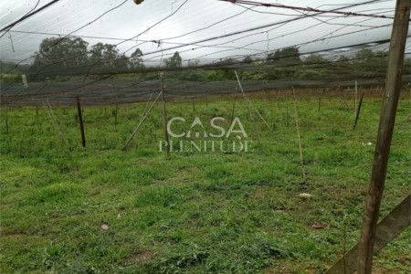 Sítio à venda com 2 quartos em Gramadão, São Miguel Arcanjo, SP