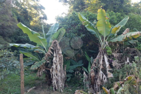 Terreno à venda em Taboão, São Roque, SP