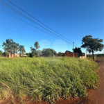 Terreno à venda em Pedro Juan Caballero, Amambay