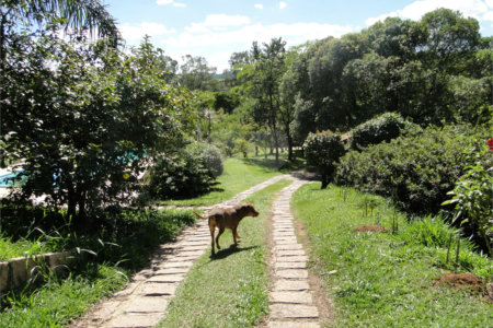Chácara à venda com 2 quartos, sendo 1 suíte, em Santa Cândida, Vinhedo, SP