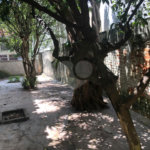 Casa à venda com 4 quartos, sendo 1 suíte,  em Jardim Colombo, São Paulo, SP