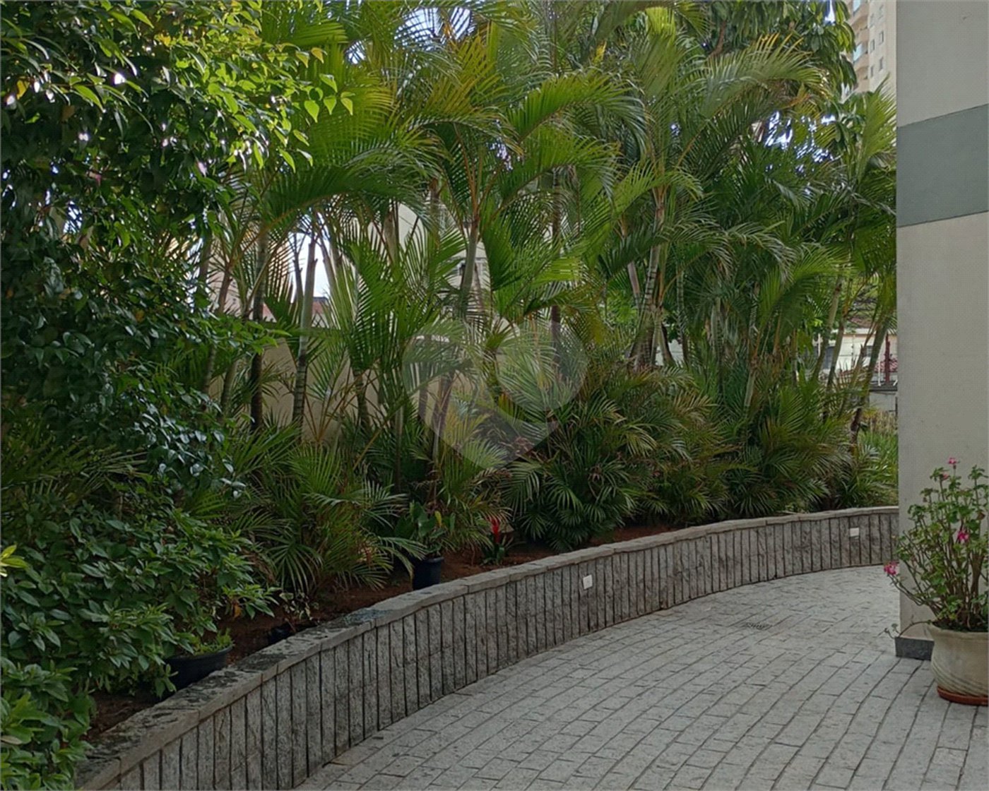Apartamento à venda com 3 quartos, sendo 1 suíte, em Jardim São Paulo(zona Norte), São Paulo, SP