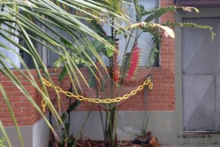 Casa Térrea à venda com 3 quartos, sendo 1 suíte, em Vila Cordeiro, São Paulo, SP