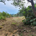 Terreno à venda em Barreiro, Mairiporã, SP