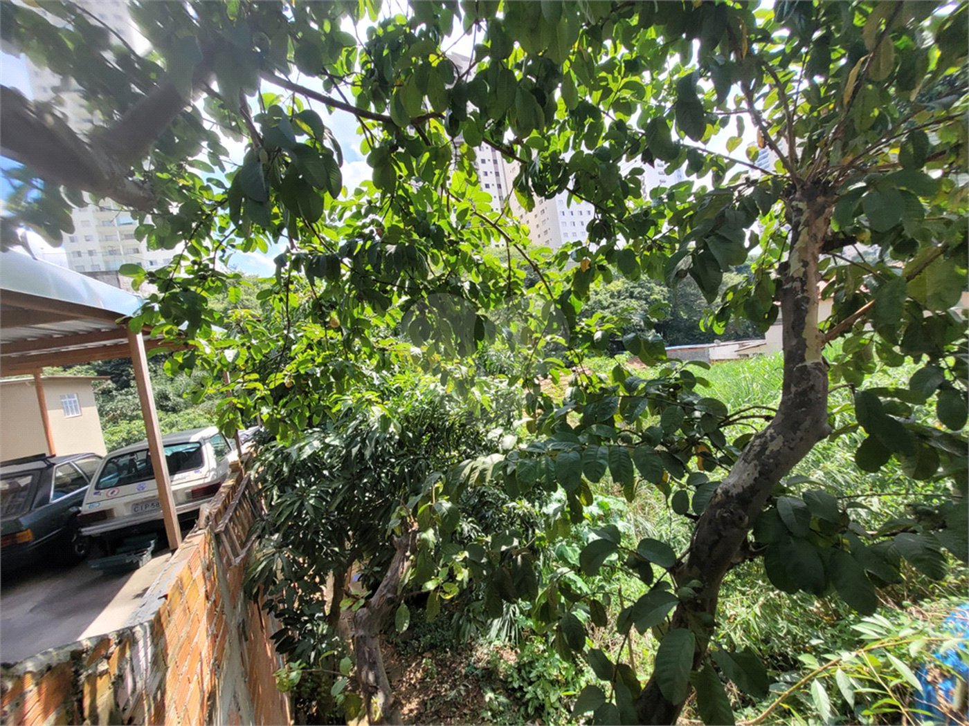 Terreno à venda com 1 quarto em Água Fria, São Paulo, SP