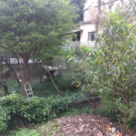 Terreno à venda em Santana, São Paulo, SP