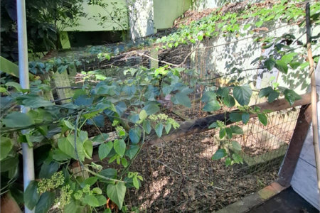 Casa à venda com 1 quarto, sendo 2 suítes, em Campo Grande, Rio de Janeiro, RJ