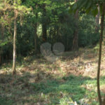 Terreno à venda em Vila Albertina, São Paulo, SP