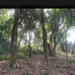 Terreno à venda em Jardim Peri Peri, São Paulo, SP