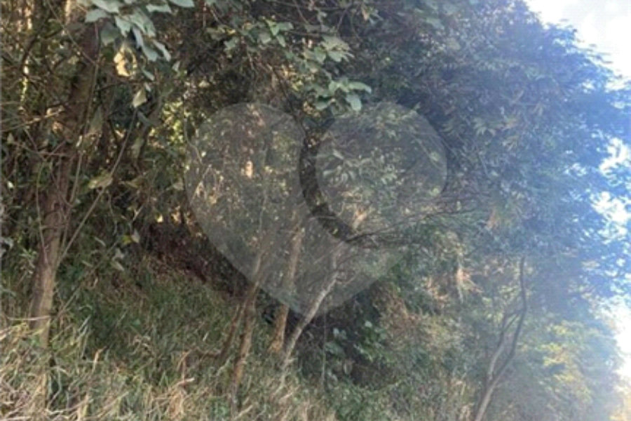 Terreno à venda em Serra da Cantareira, Mairiporã, SP