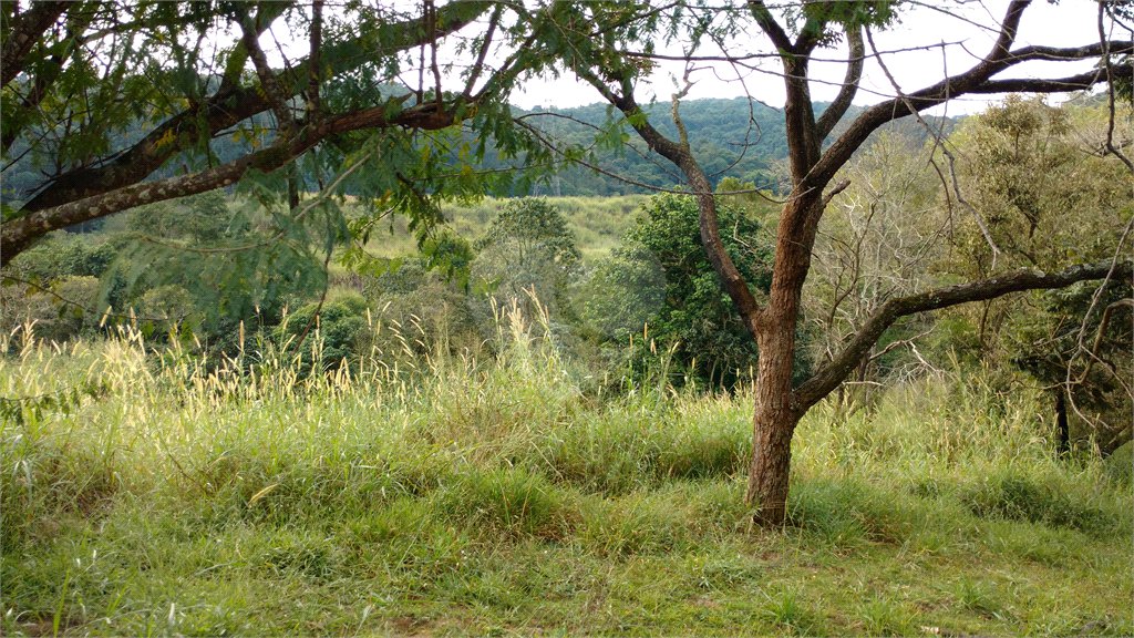 Terreno para alugar em Tucuruvi, São Paulo, SP