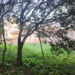 Terreno à venda com 3 quartos, sendo 1 suíte, em Imirim, São Paulo, SP