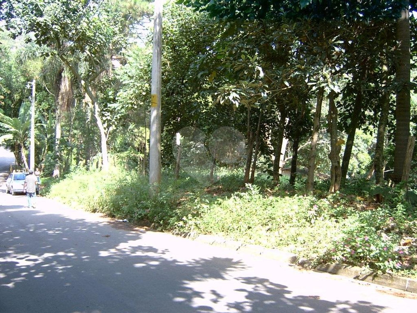 Casa Térrea à venda com 3 quartos em Vila Maria Alta, São Paulo, SP