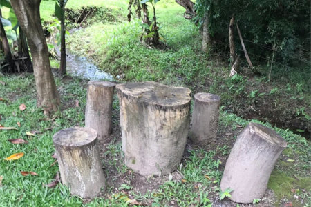 Chácara à venda com 3 quartos, sendo 1 suíte,  em Loteamento Jardim Nova Ibiúna, Ibiúna, SP