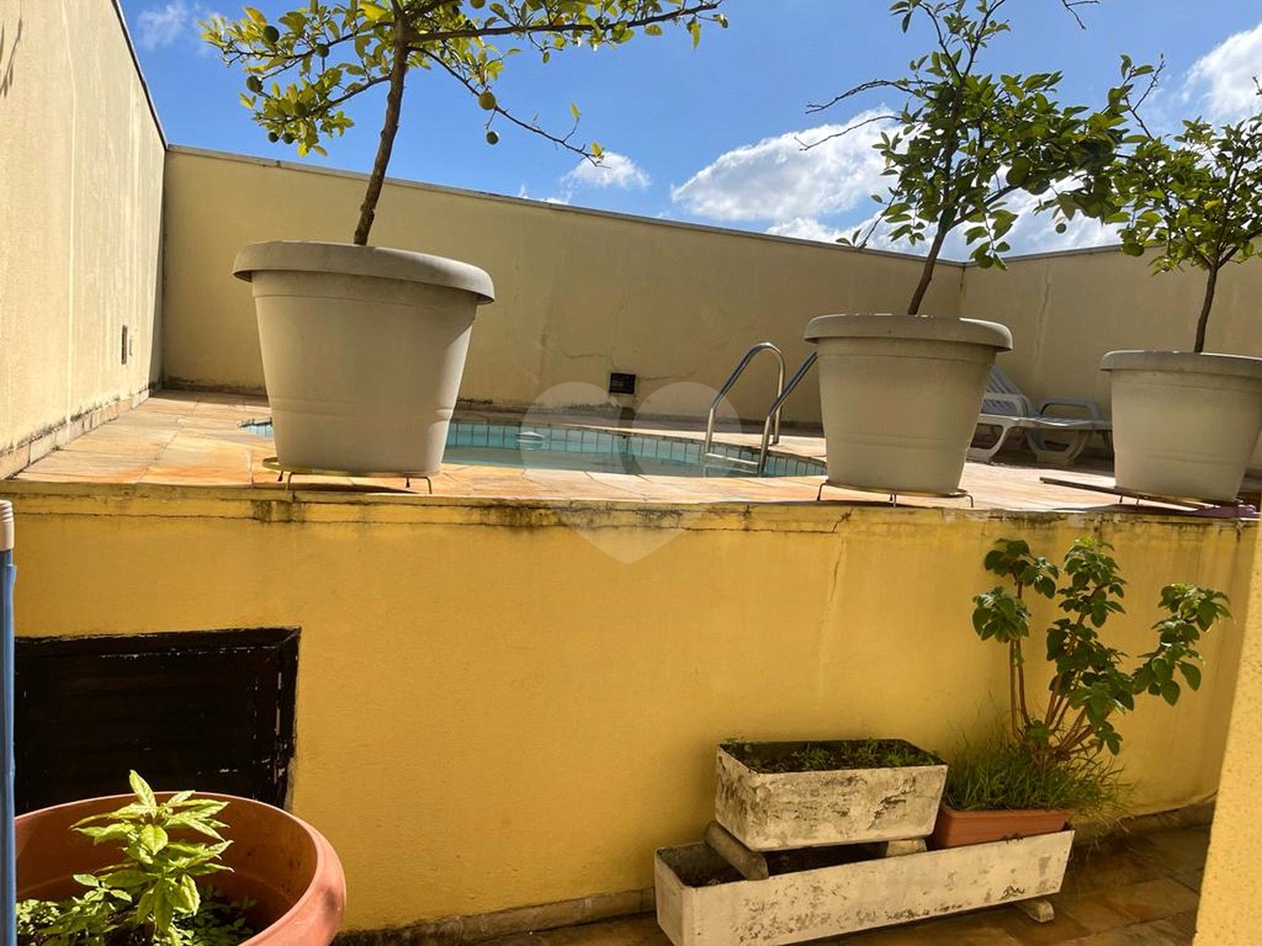 Cobertura à venda com 3 quartos, sendo 1 suíte,  em Vila Suzana, São Paulo, SP