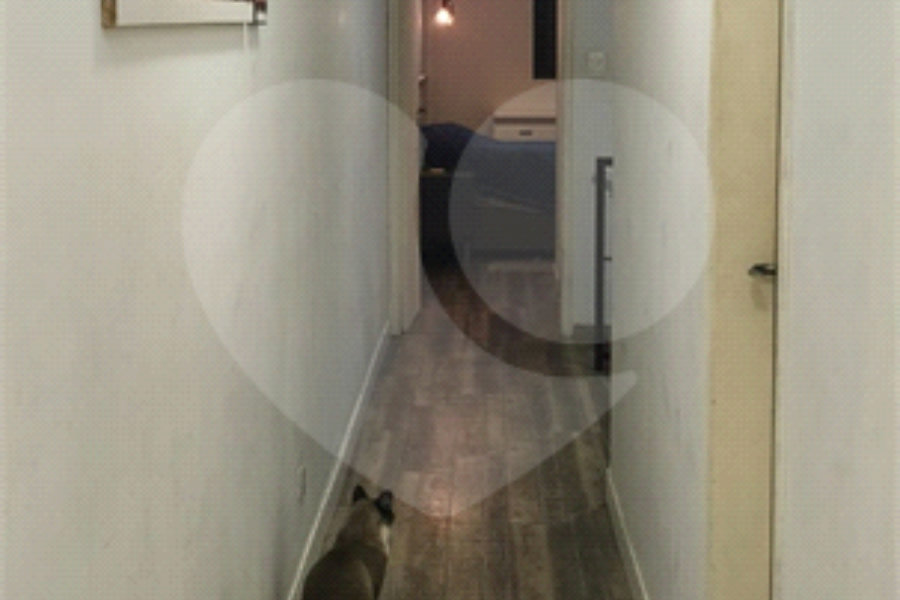 Sobrado à venda com 3 quartos, sendo 1 suíte, em Vila Prudente, São Paulo, SP