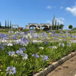 Terreno alto padrão à venda em Condomínio Serras Altas Poços de Caldas MG