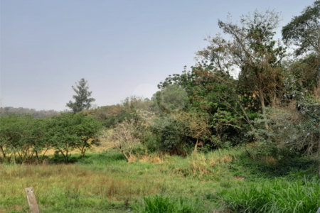 Terreno à venda em Abadia, Louveira, SP