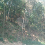 Terreno à venda em Serra da Cantareira, Mairiporã, SP
