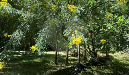 Terreno à venda no condomínio Residencial Vale das Laranjeiras, Indaiatuba - SP