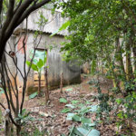Terreno à venda em Santana, São Paulo, SP