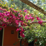 Sítio à venda com 3 quartos em Vila Darcy Penteado (mailasqui), São Roque, SP