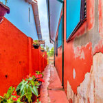 Sobrado à venda com 4 quartos em Água Fria, São Paulo, SP