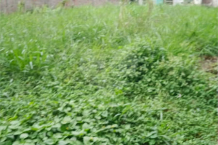 Terreno à venda em Alto da Boa Vista, São Paulo, SP