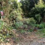 Terreno à venda em Serra da Cantareira, Mairiporã, SP