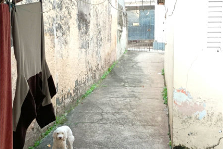 Casa de Vila à venda com 4 quartos em Vila Gustavo, São Paulo, SP