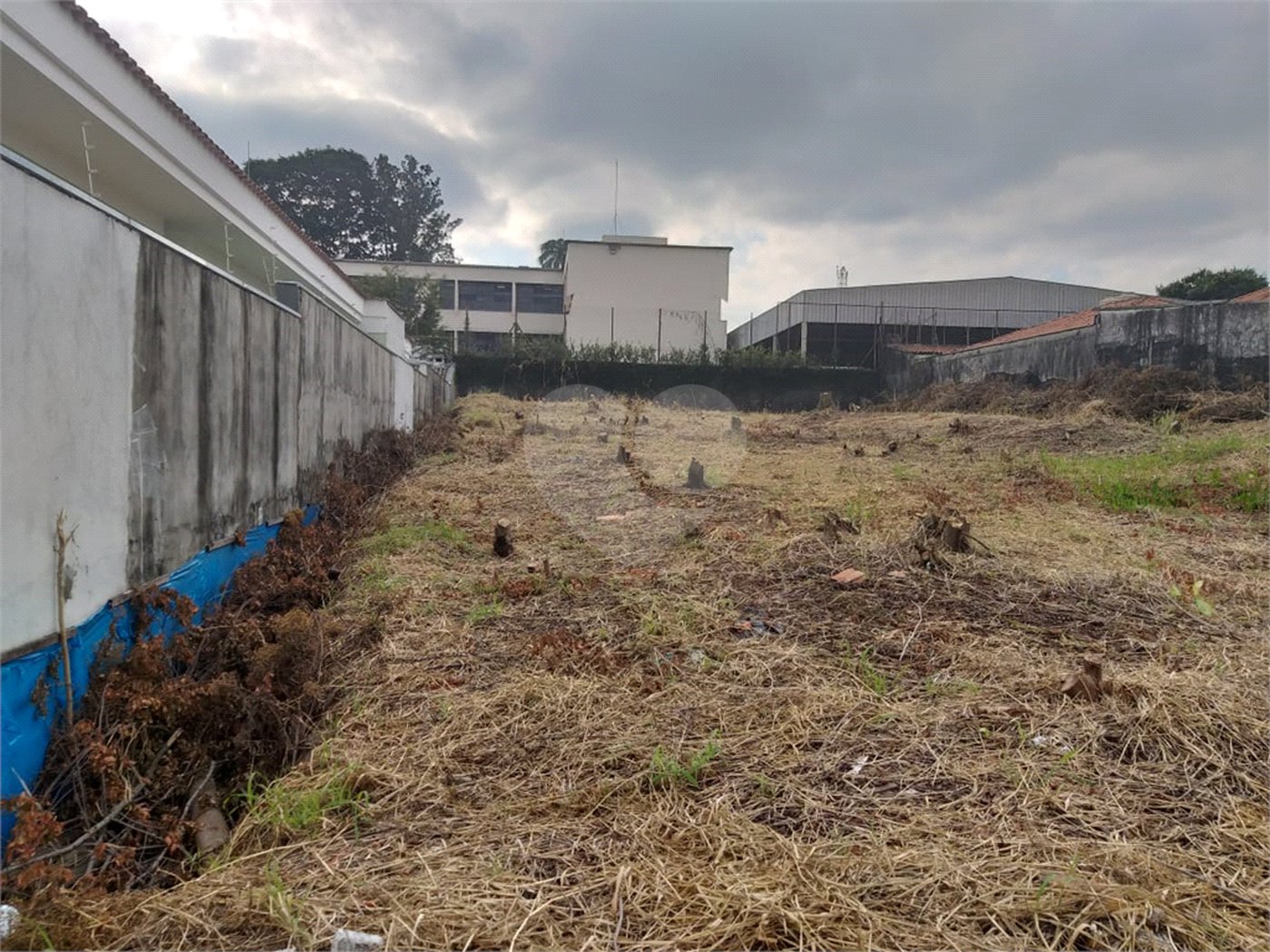 Terreno à venda com 1 suíte em Tucuruvi, São Paulo, SP