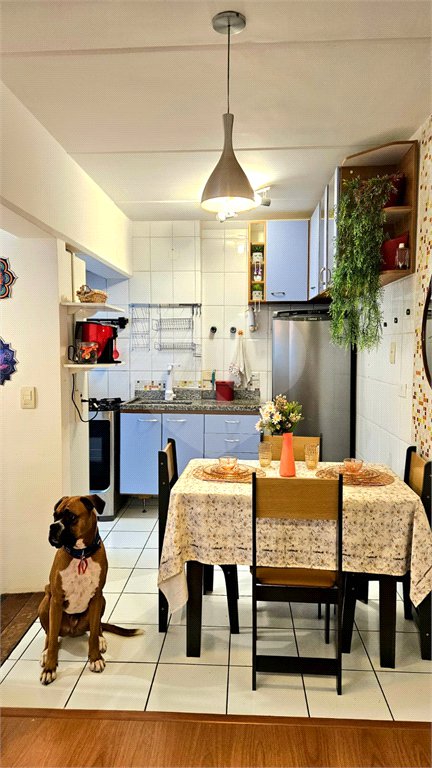 Duplex para alugar com 2 quartos em Perdizes, São Paulo, SP