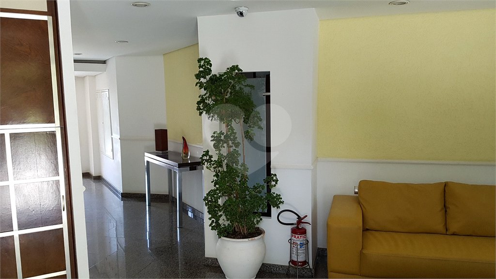 Apartamento à venda com 3 quartos, sendo 1 suíte, em Vila Paulicéia, São Paulo, SP
