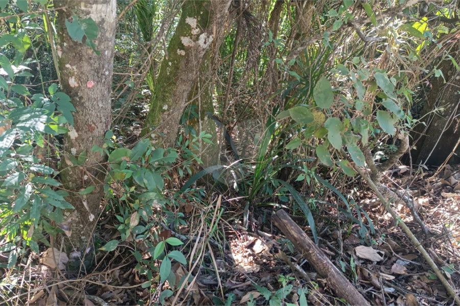 Terreno à venda no condomínio Sausalito, Mairiporã - SP