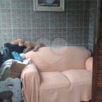 Sobrado à venda com 3 quartos em Casa Verde, São Paulo, SP