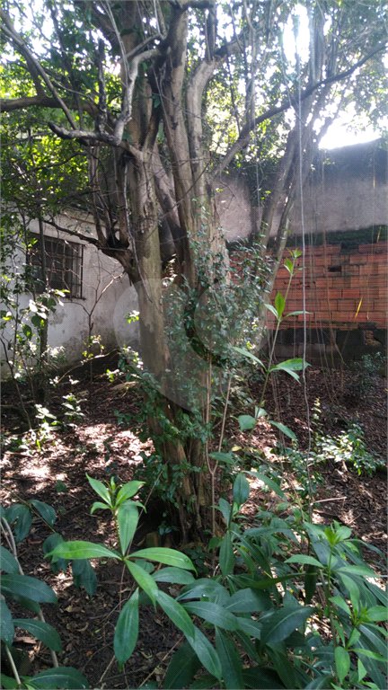 Casa Térrea à venda com 3 quartos em Vila Lúcia, São Paulo, SP