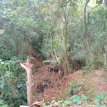 Terreno à venda em Vila Sol Nascente, Suzano, SP