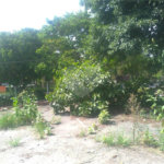 Terreno à venda em Pirituba, São Paulo, SP