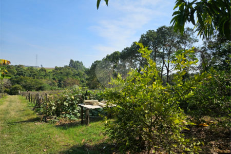 Sítio à venda em Mato Dentro, Indaiatuba, SP