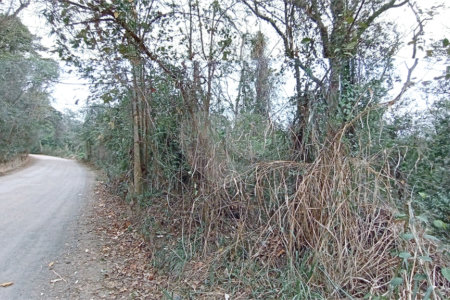 Terreno à venda em Chácaras Alpina, Valinhos, SP