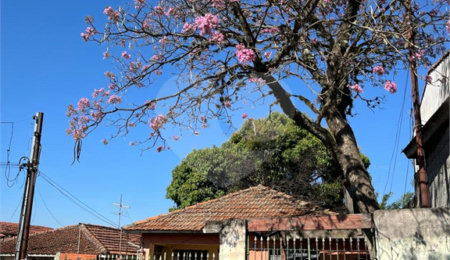 Terreno à venda com 1 quarto no Brasilândia, São Paulo, SP