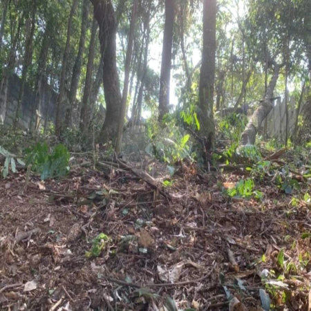 Terreno à venda em Jardim Peri Peri, São Paulo, SP