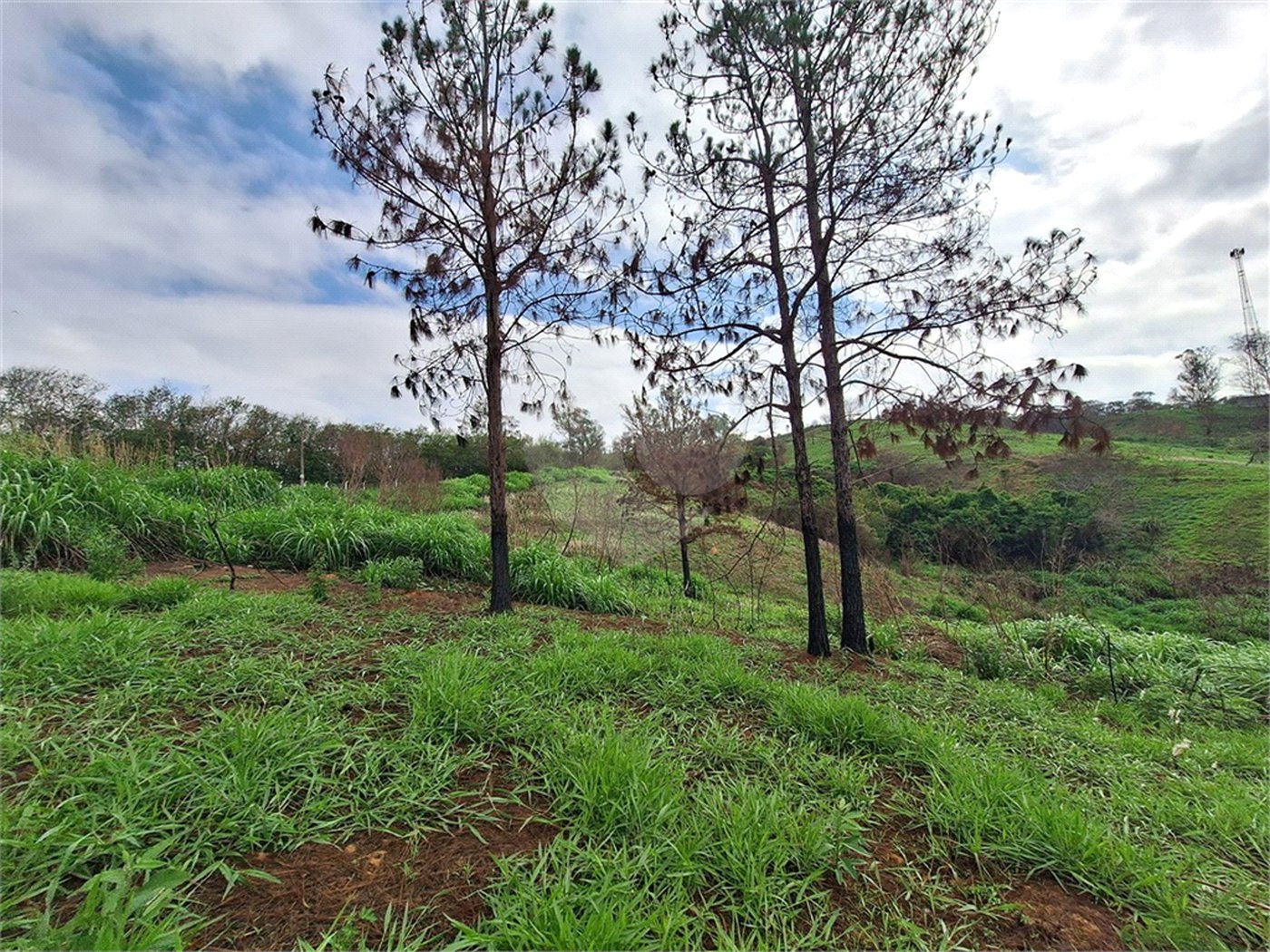 Área de Terra à venda com 1 suíte em Cocais, Itatiba, SP