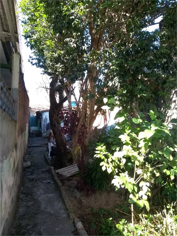 Terreno à venda com 1 quarto em Ferreira, São Paulo, SP