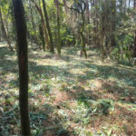 Terreno à venda no condomínio Jardim da Montanha I, Mairiporã - SP