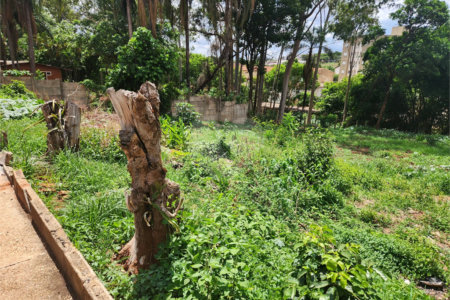 Terreno à venda em Jardim do Carmo, Araraquara, SP